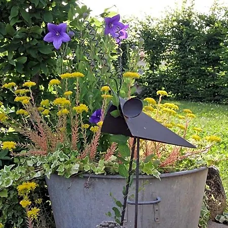 Bed & Breakfast Les 3 Vallees Saint-Florent-le-Vieil
